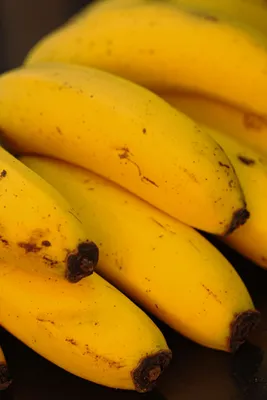 Pisang Cavendish